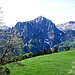 Prati dell'Alpe Pigolotta