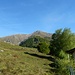 Salita all' Alpe Zocca