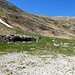 Per allungare un pò, ma anche per cercare dell' acqua scendiamo in libera all' Alpe Gigiai
