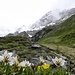 Muttekopf,2774m-rechts im Bild,Adieu!