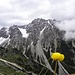 ...und Hinteres Platteinspitze(2723m) auch,es ist  aber  etwas  schwieriger...