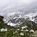Muttekopf,2774m,in Lechtaler Alpen.