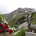 Rückblick zum Hinteres Alpjoch von Muttekopfhütte.