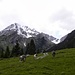 ...mit letzter Blick und Zoom zur Muttekopf,2744m,in Lechtaler Alpen.Es war eine unvergessliche Woche,oder?:)