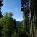 Los gehts, schon recht bald hat man erste Ausblicke