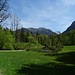 Bei der Schloßparkanlage wurden verschiedene Gartenformen vermischt.