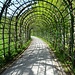Die Laubengänge bestehen natürlich aus Linden. 