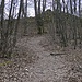 Der Heumacher Fels liegt ein paar Meter abseits des Weges