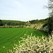 Entlang an Schlehenhecken