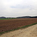 Hohenfels kommt in Sicht