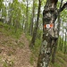 Clearly marked path from L'Avolo to Monti Cagnao, but not marked on the Swisstopo maps...