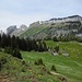 Oberhalb der Alp Hütten mit Blick zur Ebenalp