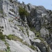 Mitten in der Kletterroute "Flora Bohra" am Leonhardstein. Der Baum markiert den Stand nach der sechsten Seillänge. Der Weitere Verlauf mit Verschneidung (rechts oberhalb des Baums) ist ganz gut zu erkennen.