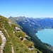 herrlicher Rückblick gegen Brienzer Rothorn und Zentralschweizer Alpen