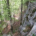 Die Felsriegel der Gonzen-Südwestwand werden entlang ihrer Unterkante im Follawald umgangen.