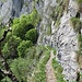 Der Weiterweg führt über einen schön angelegten Weg der Felswand entlang zum Cholplatz.