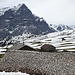 Picknick bei der Alp Scheidegg Oberläger. Blick Richtung Wetterhorn und grosse Scheidegg