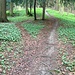 Da und dort weichen der alte Weg und die neue Bikepiste etwas voneinander ab.
