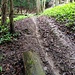 Die Biker hinterlassen deutliche Spuren im weichen Untergrund. Es handelt sich jedoch nicht um einen offiziellen Trail. Biken ist hier eigentlich verboten (im Gegensatz zum oberern Teil des Fohlenweidpfades).