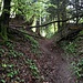 Eine Art "hohle Gasse" im oberen Teil des Pfades.