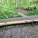 Auf einer Höhe von 735m ü. M. kreuzt der Trampelpfad die Höcklerstrasse, die sich in zahlreichen Serpentinen vom Höckler via die Punkte 549, 621 und 709 zu Punkt 777 an der Gratstrasse hochwindet.