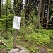 An der Gratstrasse kurz vor der Falletsche: das obere Ende des Fohlenweidpfades, bzw. der Beginn des Biketrails.