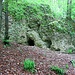 Nagelfluh Höhlen