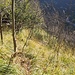 Vardella - Barbacane Oktober 2014: Pfadsuche im hohen Gras