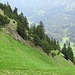 Der Blick von der Alp Bogarten zum unteren Bereich des Bogartenfirsts: Links ist deutlich der Einstieg in den Pfad zum Bogartenfirst zu erkennen; unten (rechts im Bild), wo das Gelände flacher wird, befindert sich der Beginn des Jägersteigs.