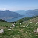 Salendo verso il Berlinghera : vista sul Lago di Como