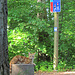 Eine Katze macht den Vita-Parcour im Haselwartewald.