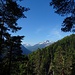 bietet aber schöne Ausblicke auf den Höchsten der Ammergauer Alpen
