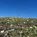 das Gipfelkreuz steht im Blumenmeer