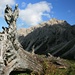 Blick vom Gappenfelder Kar zur Leilachspitze