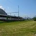 S12 Sargans - Chur kurz vor dem Bahnhof Landquart