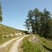 Der Fahrweg zur Calandahütte (aufgenommen bei ca. 1700m)