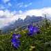 ... und  hier in Blau, mit Tscheinerspitze(Cima Sforcella2810m) und Rotwand(Cima Roda  di Vael,2806m-Bildmitte).