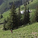 Aufstieg über steile Grashänge