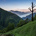 Morgenstimmung auf der Alpe Odro