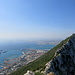 Blick über Gibraltar - der dünne Streifen durch den Wald ist die ewig lange Treppe des Aufstiegs