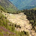 Il bel pianoro che ospita l' Alpe di Rescignaga