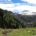 La bella conca dell' Alpe di Rescignaga, con il Marmontana a fare da vedetta