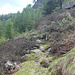 tra Corte di Fondo dell'Alpe Cranzunell e Chint