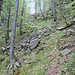 ingresso del sentiero nel valloncello che termina nella trincea di Chint