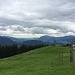 Blick von der Alpe Schrattenwang zum Wächter des Allgäus