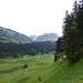 Blick zur Alp Sämtis