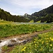 Sämtisersee (und hier das [http://www.appenzellerlinks.ch/Appenzellerland/Panoramatour/Kugelpanorama-Alpstein-S%C3%A4mtisersee.htm Kugelpanorama])