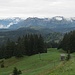 Blick vom Gipfel zur Kanisfluh und Hangspitze & Co.