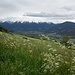 Wunderschöne Blumenwiesen im Aufstieg nach Muntatschinig