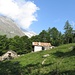 Alpe Motto